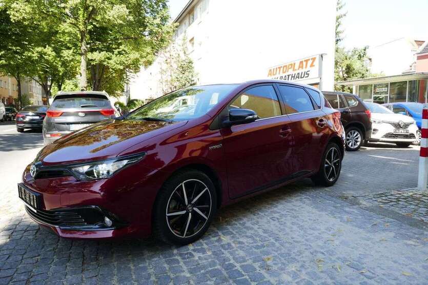 Auris