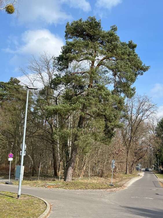100 m² großes Reihenhaus in Falkensee, nahe Potsdam + Berlin, ruhige Siedlungslage, Einfamilienhaus 4 zimmer