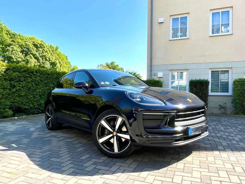 Macan