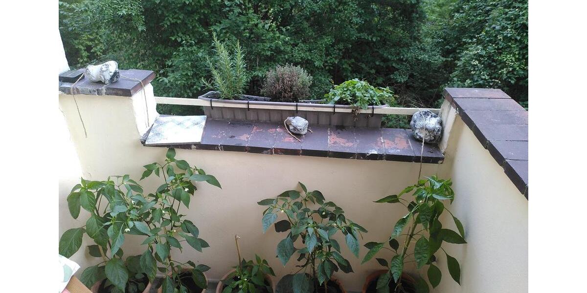 Etagenwohnung Berlin Tempelhof-Schöneberg - 1 Zimmer, 37 m&sup2;, 380&euro; | Angebot:25547205