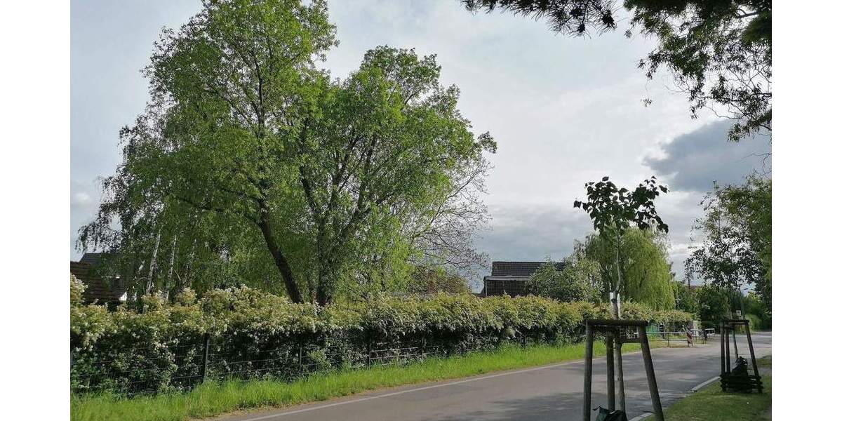 Doppelhaushälfte Ahrensfelde Lindenberg - 4 Zimmer, 115 m&sup2;, 349.400&euro; | Angebot:25996169