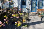 Reihenmittelhaus Falkensee - 5 Zimmer, 165 m&sup2;, 535.000&euro; | Angebot:26217977