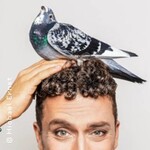 Felix Heller- Piep-Show