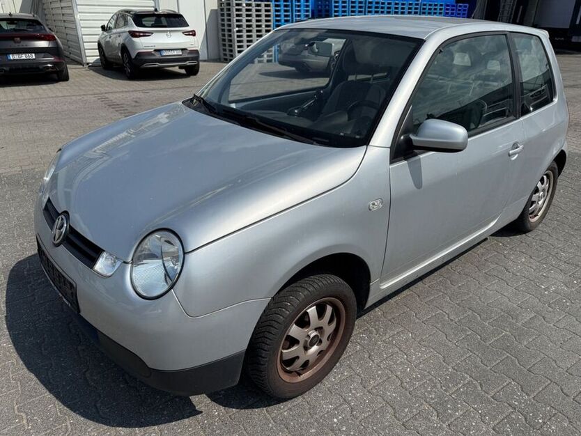Lupo