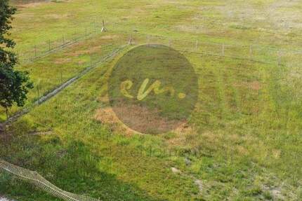 Feldrand-, Wald- und Ortsrandlage: Großes Einfamilienhausgrundstück in Teltow, B-Plan vorhanden... zimmer