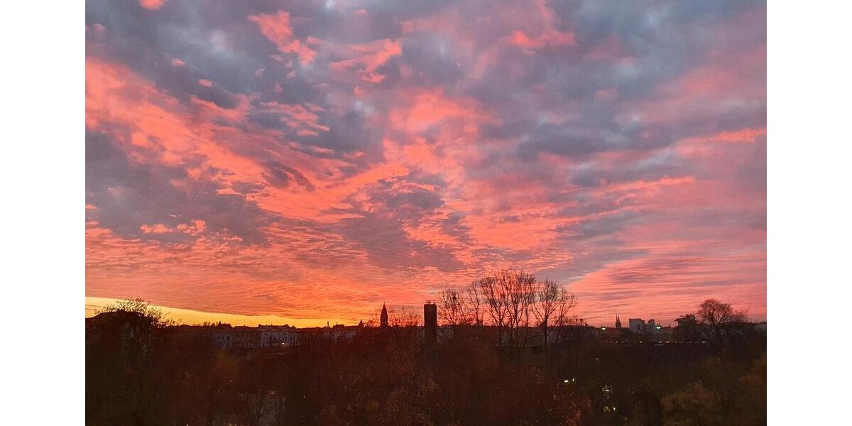 Etagenwohnung Berlin Neukölln - 1 Zimmer, 35 m&sup2;, 795&euro; | Angebot:26097444