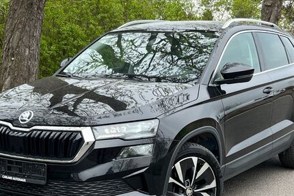 Skoda Karoq 173.263 km 19.800 &euro; Berlin 12277