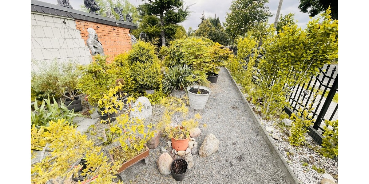 Einfamilienhaus - Berlin - Bohnsdorf auf Erbpachtgrundstück mit Garage in Top - zentraler - Lage! - Einfamilienhaus Berlin / Bohnsdorf Bohnsdorf | Angebot:27023806