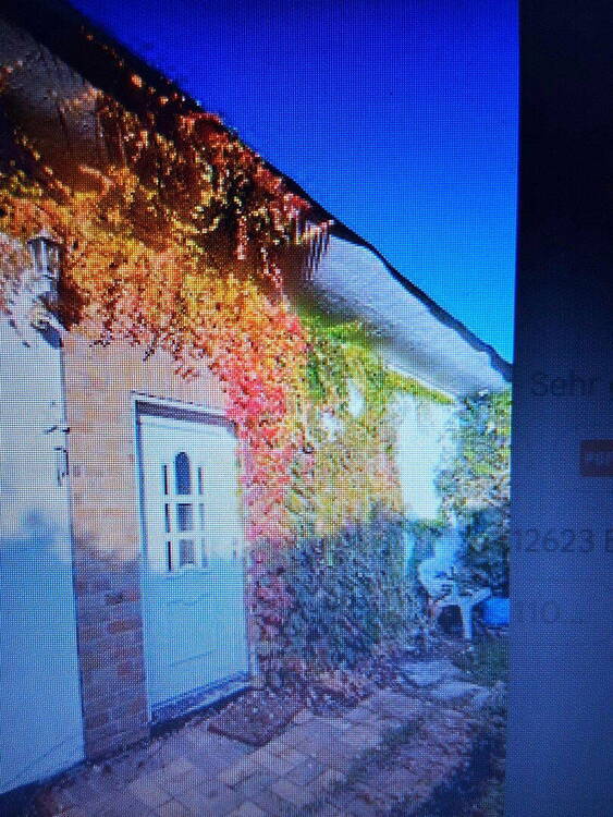 Bungalow m. gr. Garten