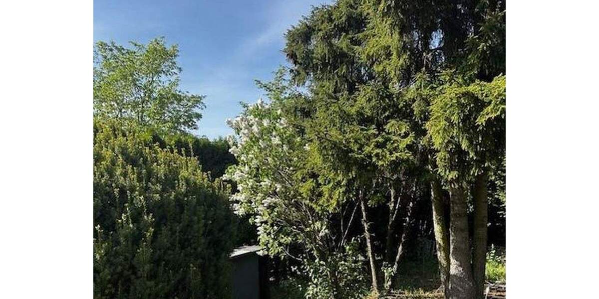 Einfamilienhaus Berlin Altglienicke - 5 Zimmer, 157 m&sup2;, 650.000&euro; | Angebot:25716229