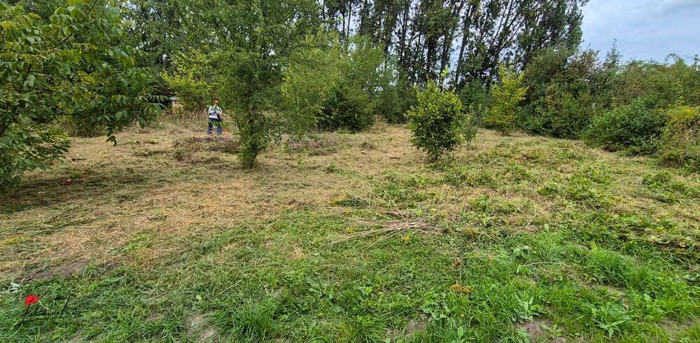 Sonderpreis! Nur für kurze Zeit! -Bauträgerfreies Grundstück zimmer