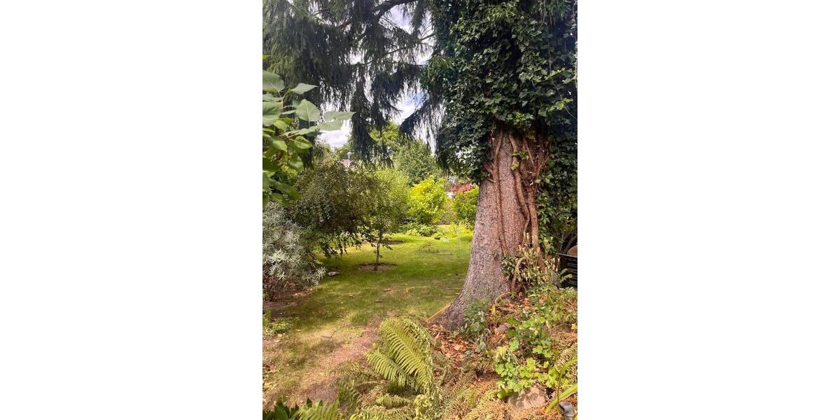 Bungalow Berlin Treptow-Köpenick - 2 Zimmer, 60 m&sup2;, 285.000&euro; | Angebot:26794245