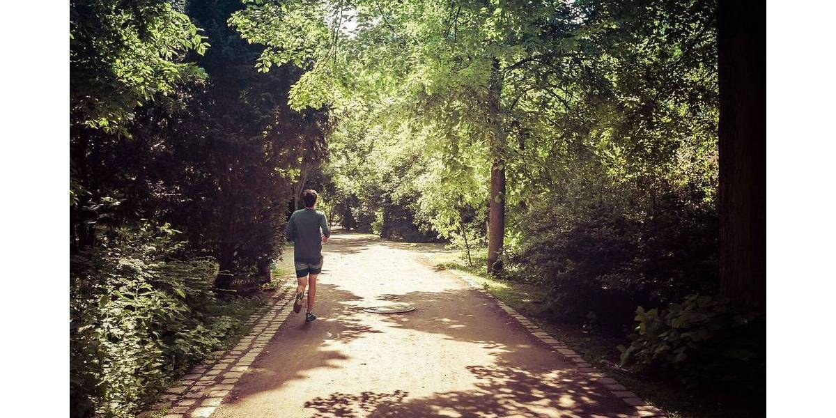 Etagenwohnung Berlin Wilmersdorf - 2 Zimmer, 65 m&sup2;, 472.100&euro; | Angebot:25970639