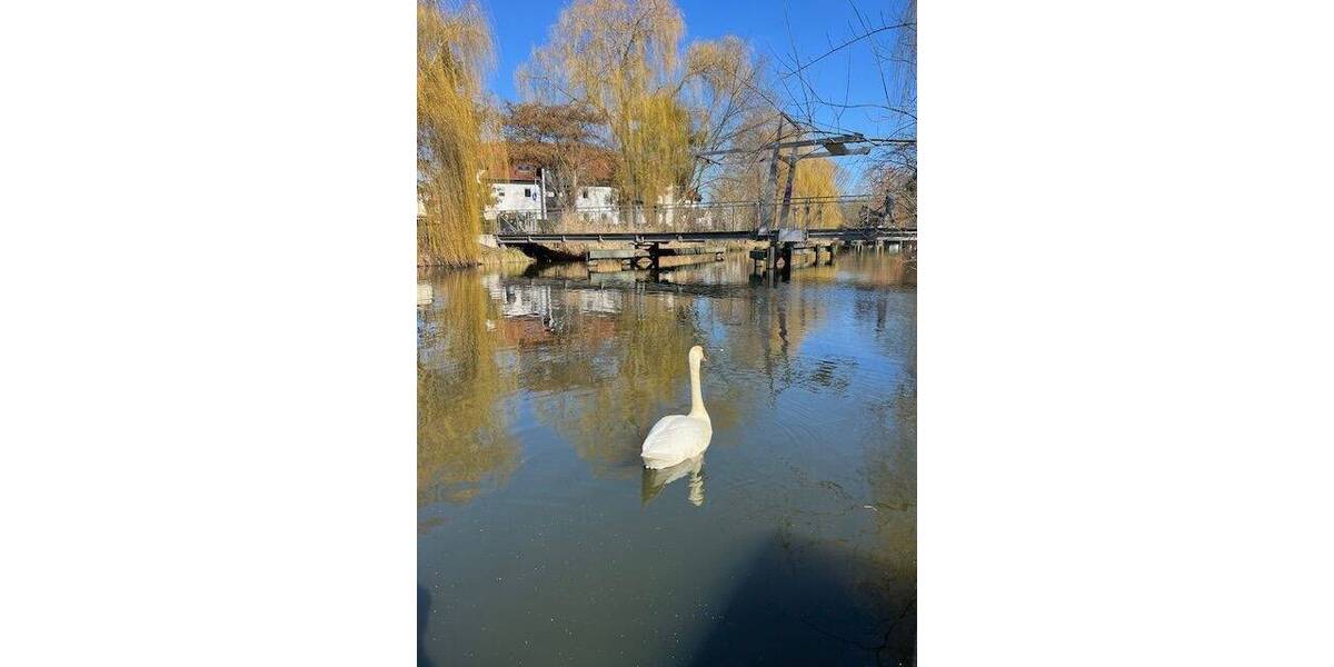 Erstbezug - Reihenendhaus Königs Wusterhausen bei Berlin 3 zimmer