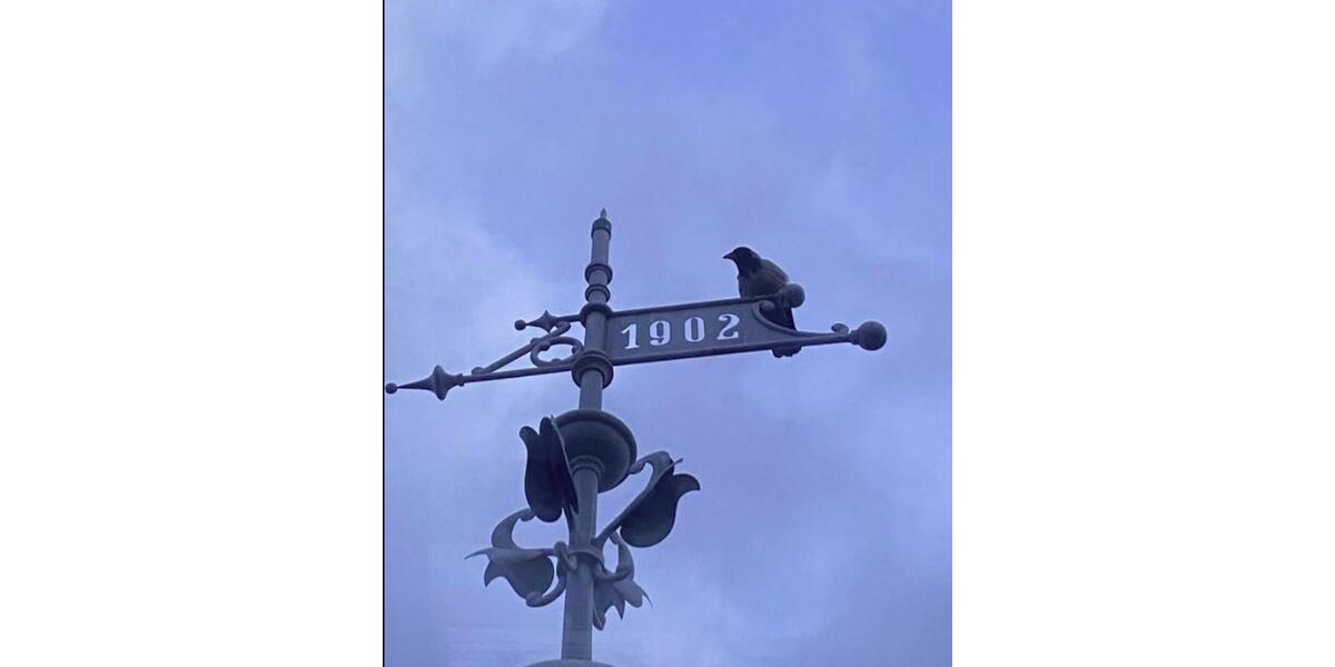 Einfamilienhaus Potsdam Babelsberg - 1.110.000&euro; | Angebot:24731649