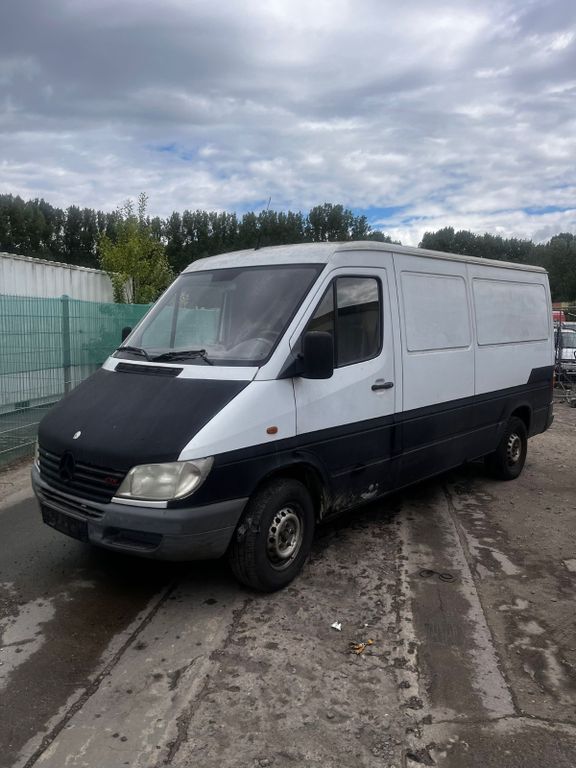 Sprinter
