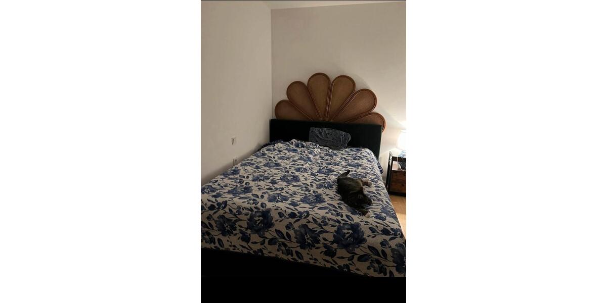 Terrassenwohnung Berlin Pankow - 1.5 Zimmer, 55 m&sup2;, 1.400&euro; | Angebot:25989754