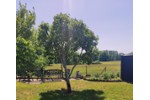 Einfamilienhaus Erkner - 4 Zimmer, 140 m&sup2;, 595.000&euro; | Angebot:27162694