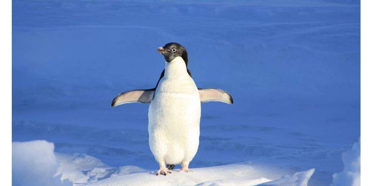 NOTWENDIG Berliner WBS mit DRINGLICHKEIT: Renovierter NB mit Terrassenloggia 2 zimmer