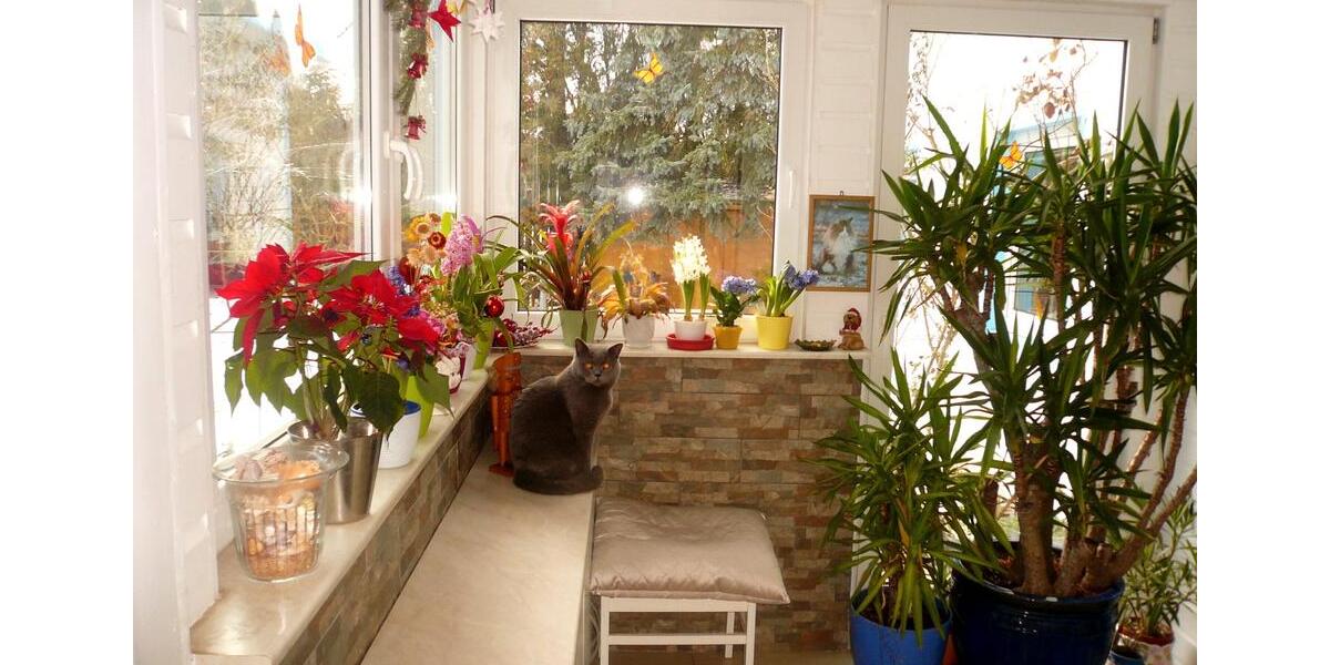Einfamilienhaus Wandlitz - 3.5 Zimmer, 92 m&sup2;, 359.000&euro; | Angebot:27015975