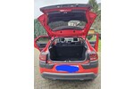 C4 Cactus