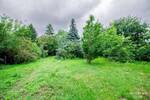 Wohnen im Grünen mit Potenzial: Bezugsfreies Haus mit Garten vor den Toren der Hauptstadt