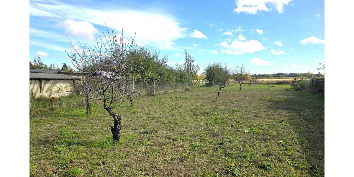 Großes Grundstück in ruhige Lage - Ideal für Pferde und Gemüseanbau zimmer