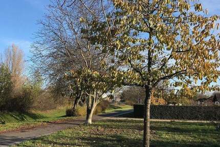 Unweit vom Bahnhof Spandau, eine wunderbare sonnige, grüne und ruhige Oase! zimmer