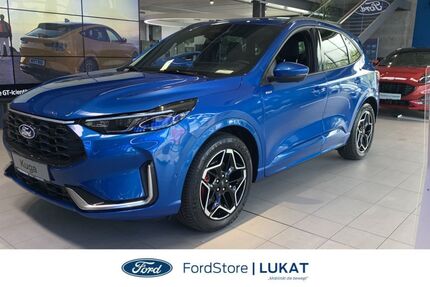 Ford Kuga 1.000 km 40.900 &euro; Bernau 16321