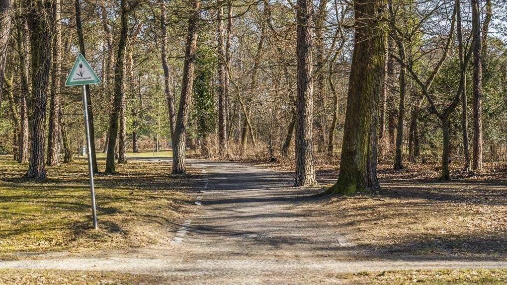 Etagenwohnung Berlin Dahlem - 3 Zimmer, 89 m&sup2;, 639.000&euro; | Angebot:25686677
