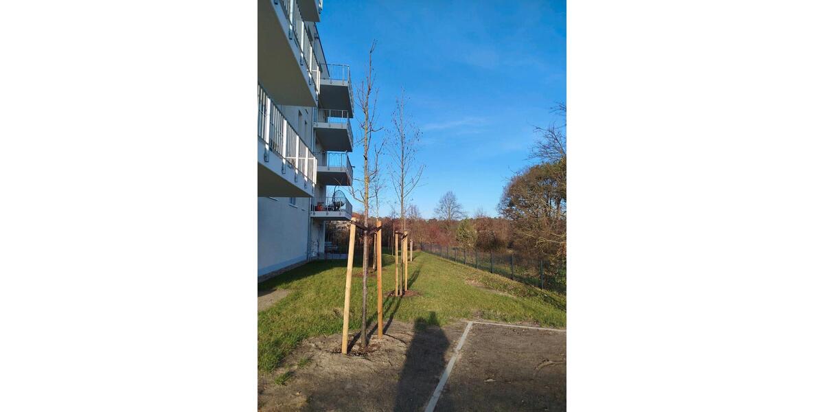 Erdgeschoßwohnung Wildau - 2 Zimmer, 50 m&sup2;, 1.168&euro; | Angebot:24523282