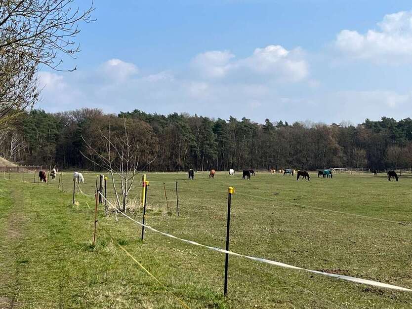 Verkauf eines 96 qm eingeschossigen Reihenhauses in sehr ruhiger Anliegerstraße nahe des Nymphensees 4 zimmer