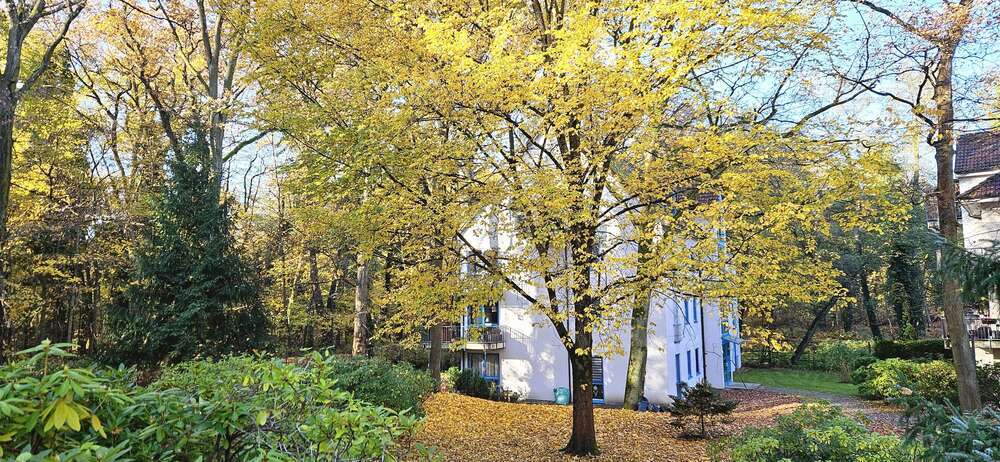 Wohnung zum Mieten in Hoppegarten 750 € 67.71 m² 2 zimmer