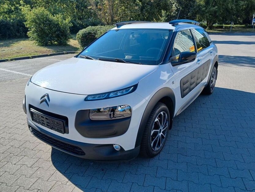 C4 Cactus