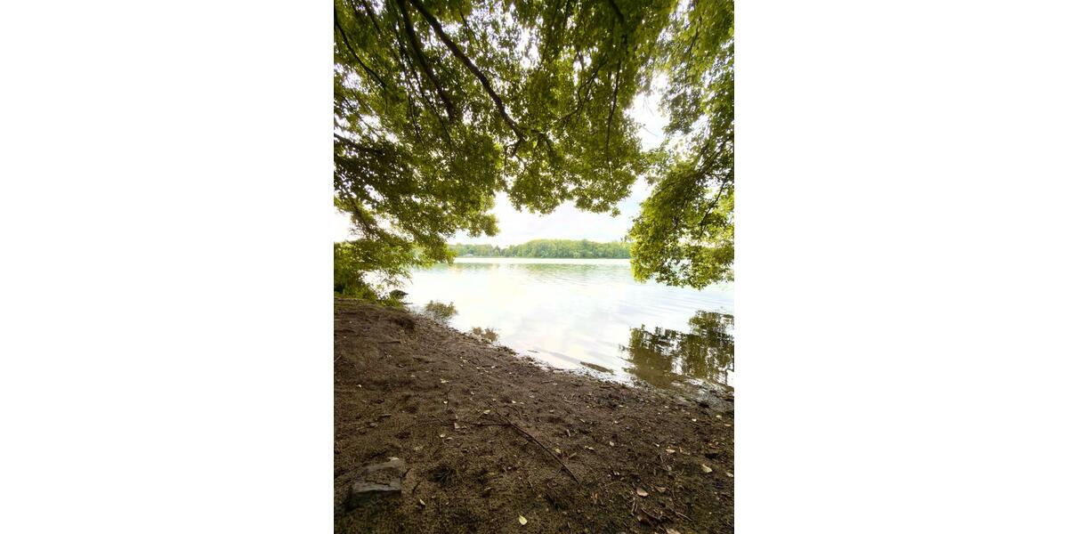 Erdgeschoßwohnung Potsdam Krampnitz - 2 Zimmer, 64 m&sup2;, 289.000&euro; | Angebot:26919223