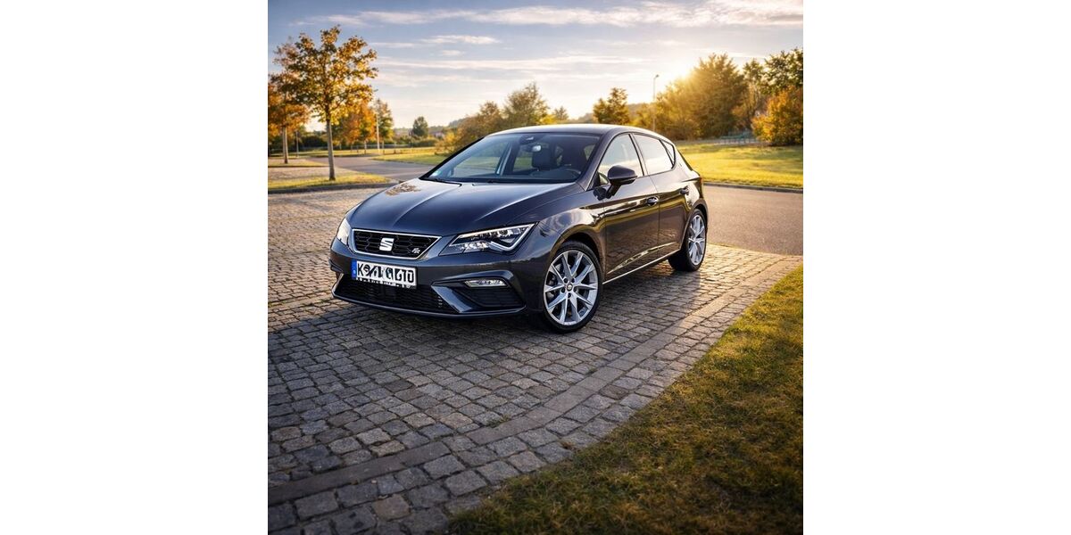Seat Leon 123.100 km 14.950 &euro; Berlin 12103