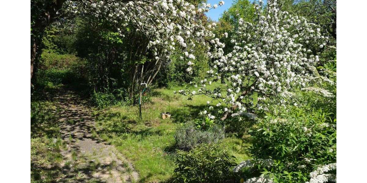 Grundstück Panketal - 249.000&euro; | Angebot:26186323