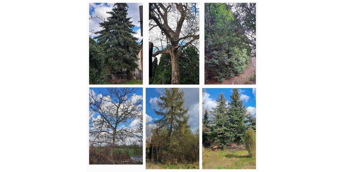 Grundstück Wandlitz OT Schönerlinde Schönerlinde - 708.000&euro; | Angebot:25944670