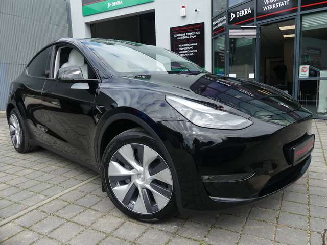 Model Y