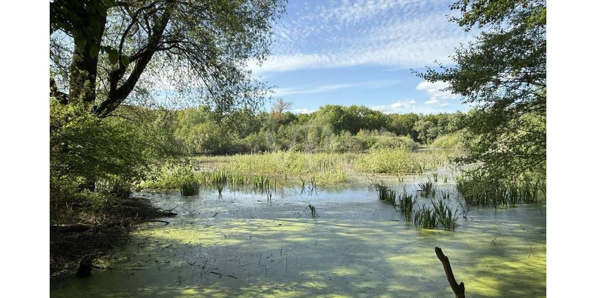 Doppelhaushälfte Berlin Alt-Hohenschönhausen - 4 Zimmer, 210 m&sup2;, 1.299.000&euro; | Angebot:26631782