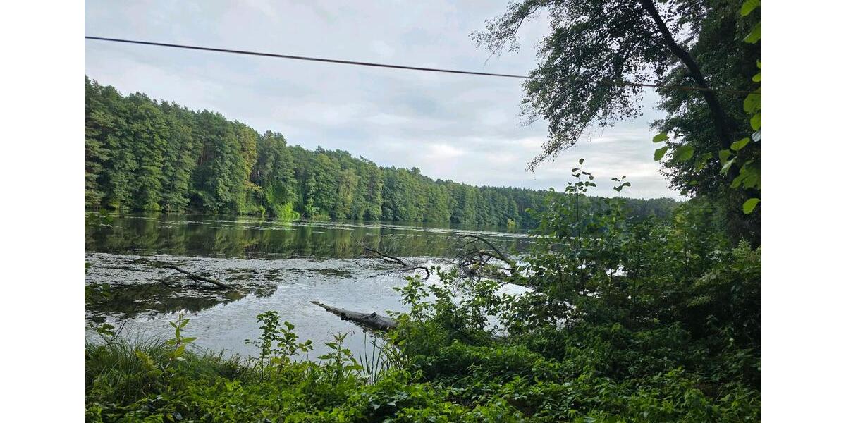 Einfamilienhaus Erkner - 3 Zimmer, 25 m&sup2;, 12.500&euro; | Angebot:24767644