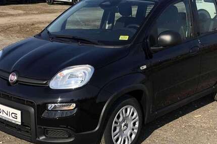 Fiat Panda 2.100 km 14.288 &euro; Gosen 15537