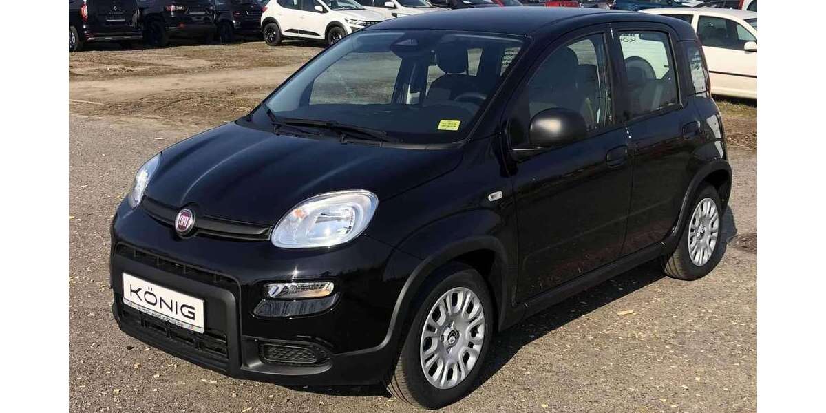 Fiat Panda 2.100 km 14.288 &euro; Gosen 15537
