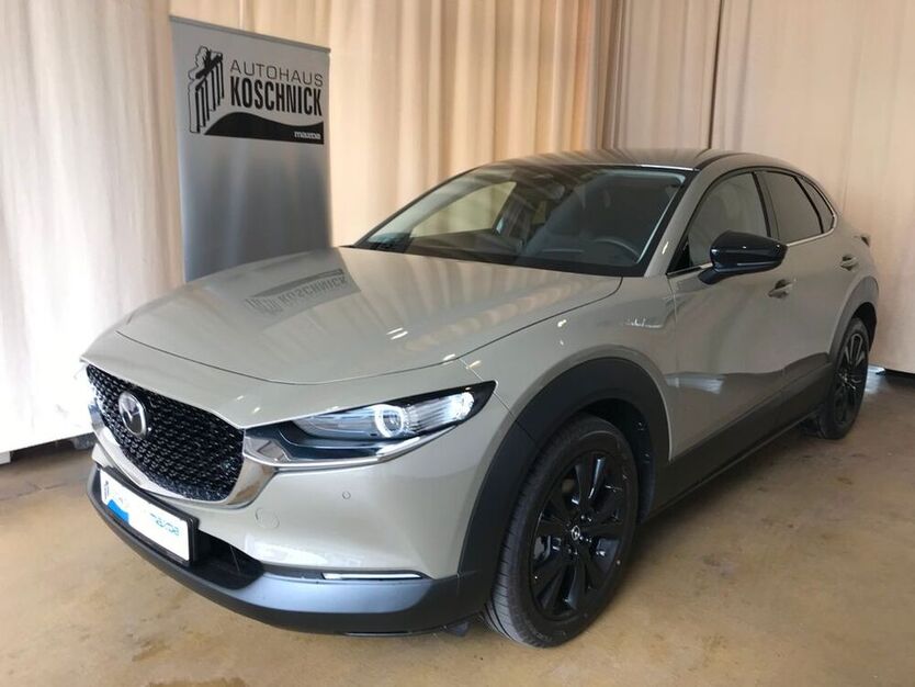 CX-30