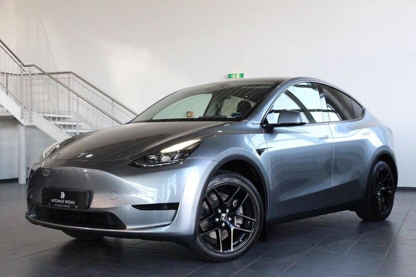 Model Y