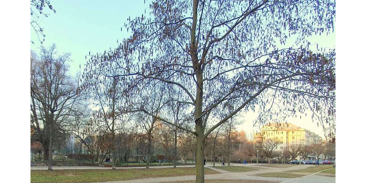 Etagenwohnung Berlin Charlottenburg-Wilmersdorf - 5 Zimmer, 120 m&sup2;, 750.000&euro; | Angebot:26244018