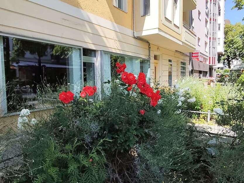 Büro in Berlin 1.500 € 75 m²