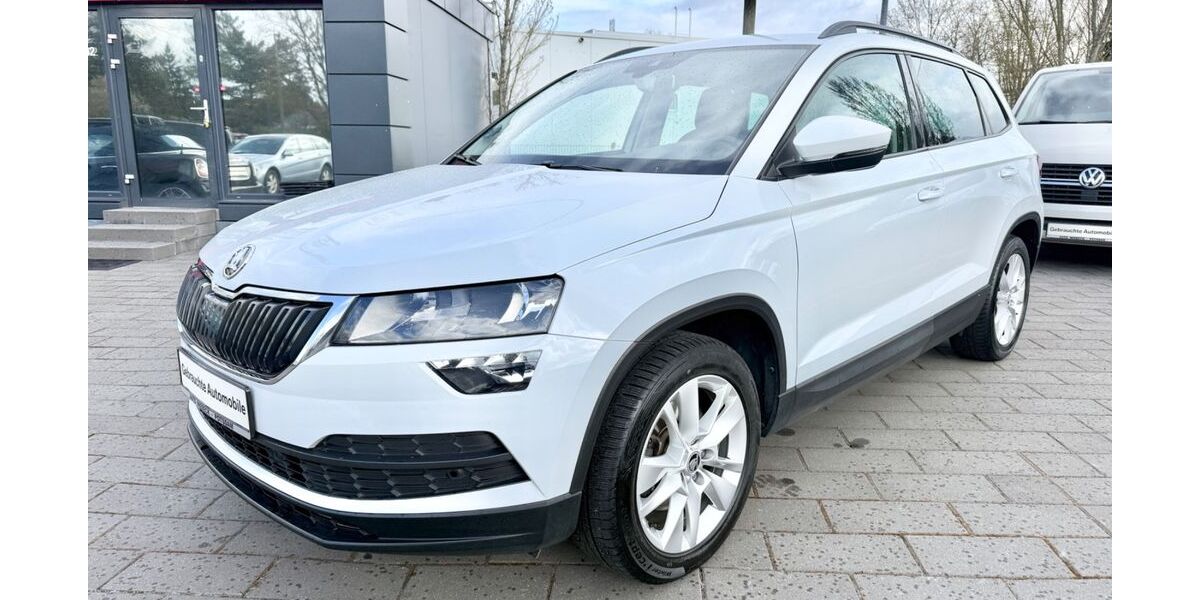 Skoda Karoq 79.999 km 19.999 &euro; Potsdam 14480