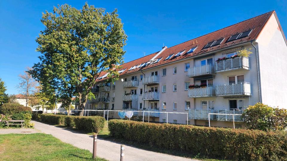 Etagenwohnung Petershagen/Eggersdorf Eggersdorf - 2 Zimmer, 59 m&sup2;, 300&euro; | Angebot:24542743