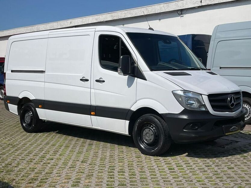 Sprinter